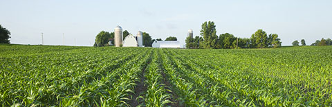 Three Estate Planning Mistakes Farmers and Ranchers Make